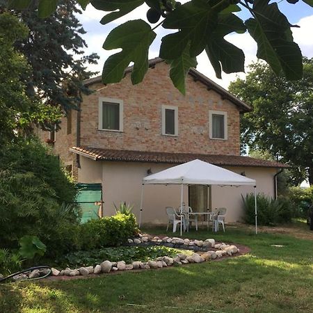 Fiordiloto Appartement Monsampolo Del Tronto Buitenkant foto